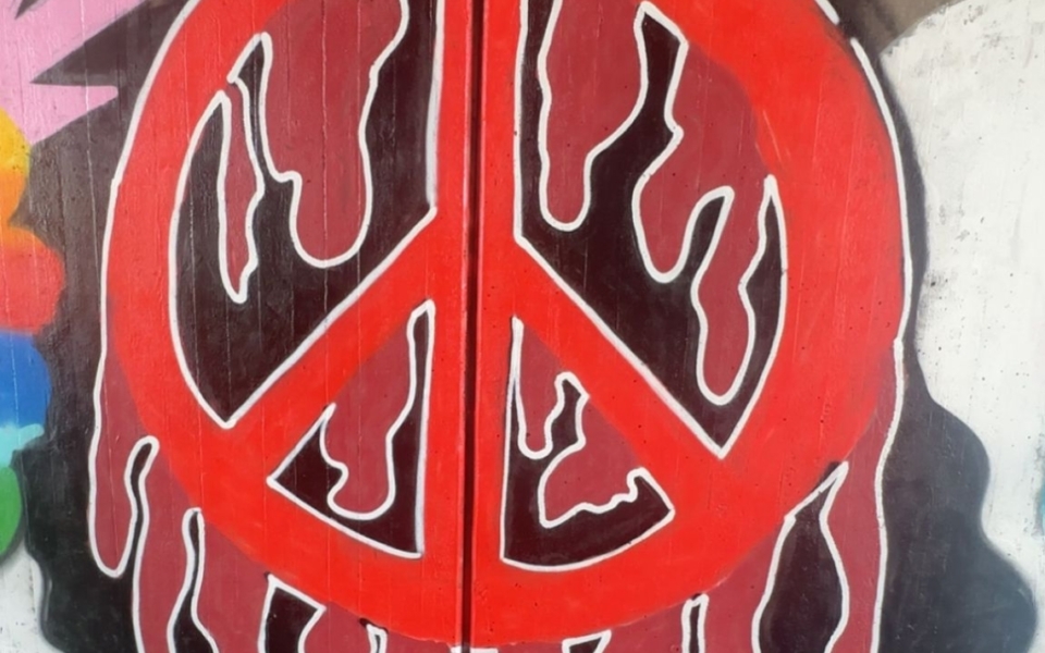 Internationales Friedenscamp